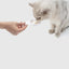 Pidan Pet snack feeder Q type - Destiny Pet